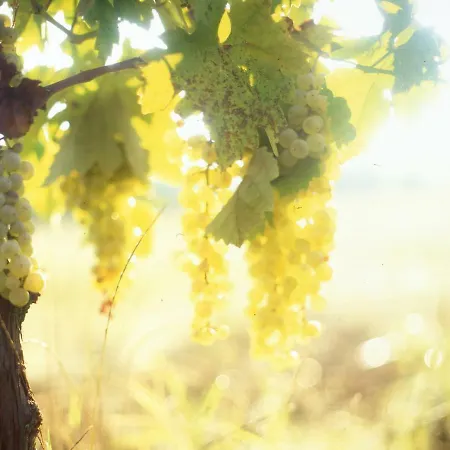Casa Rondini Apartment