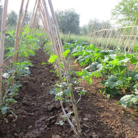 Casa Rondini Apartment