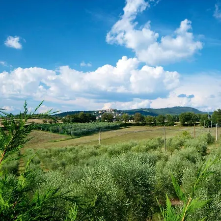 Casa Rondini * Montegabbione
