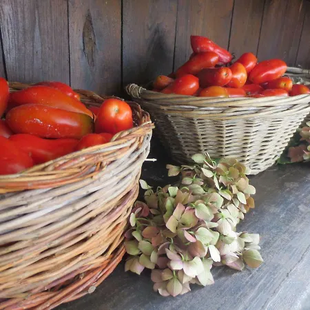 Casa Rondini Apartment