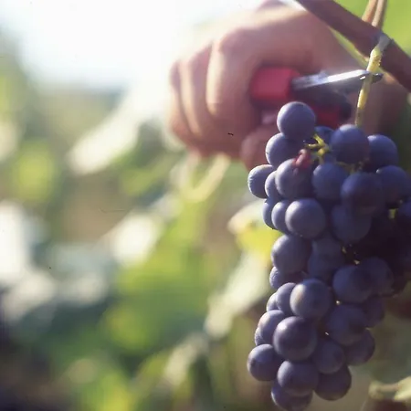 Casa Rondini Apartment Montegabbione