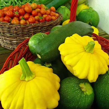 アパート Casa Rondini *