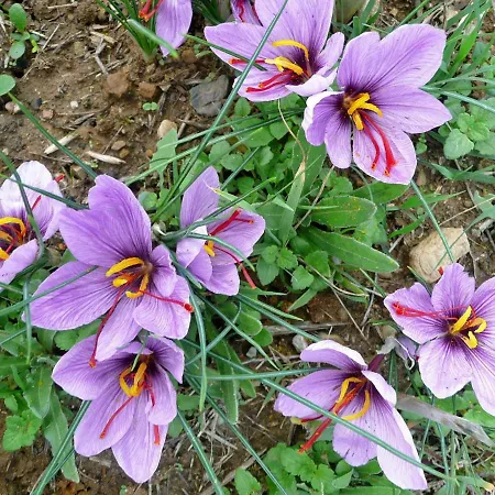 Apartment Casa Rondini *