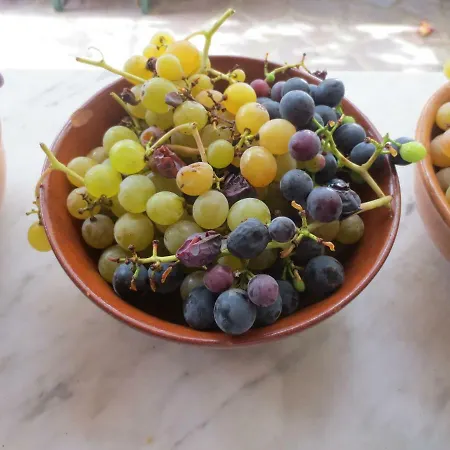 アパート Casa Rondini