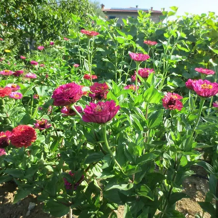 Casa Rondini Montegabbione