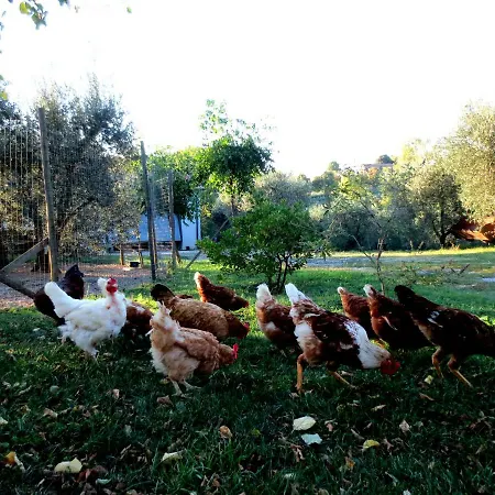 Casa Rondini Apartment