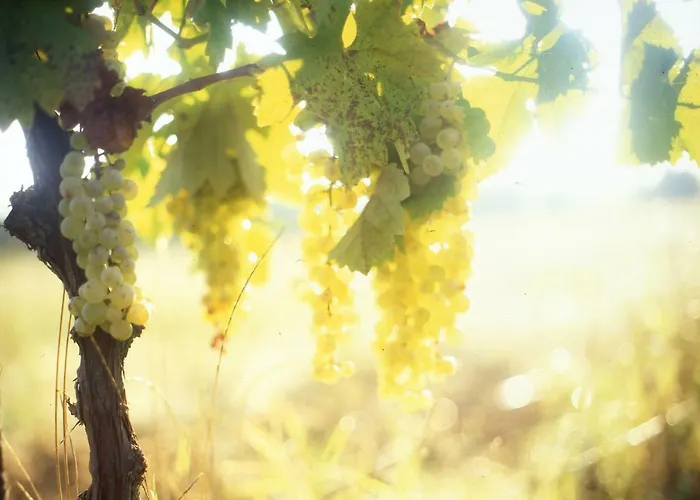 Casa Rondini Apartamento