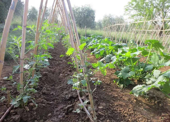 Casa Rondini Apartamento