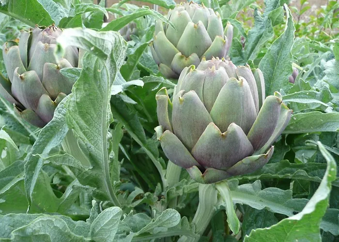 Casa Rondini Apartamento Montegabbione