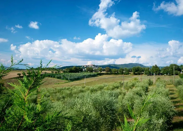 Casa Rondini * Montegabbione