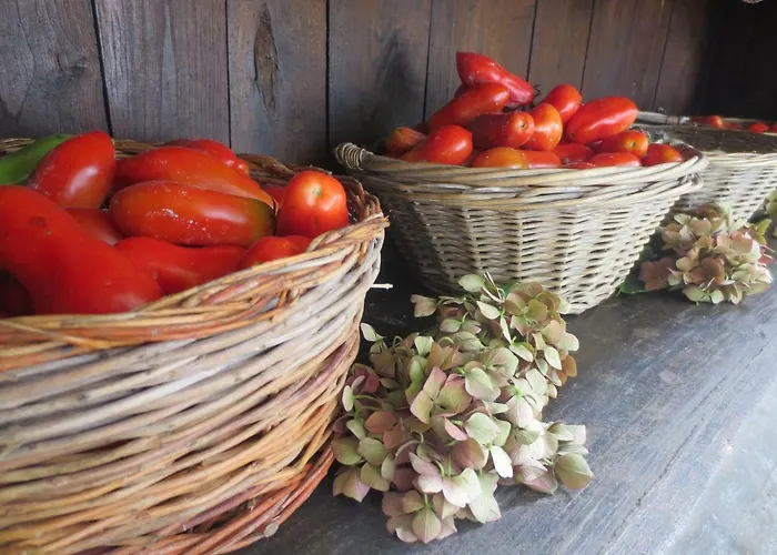 Casa Rondini Apartamento