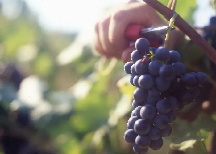 Casa Rondini Apartamento Montegabbione