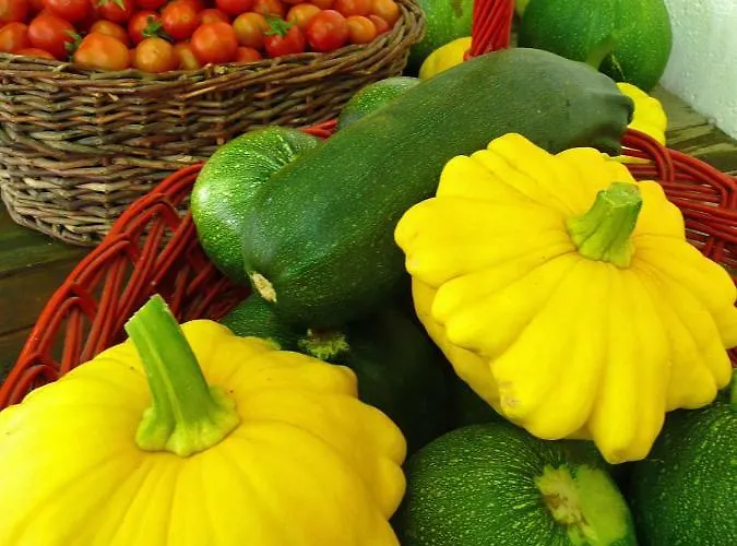 Apartamento Casa Rondini *