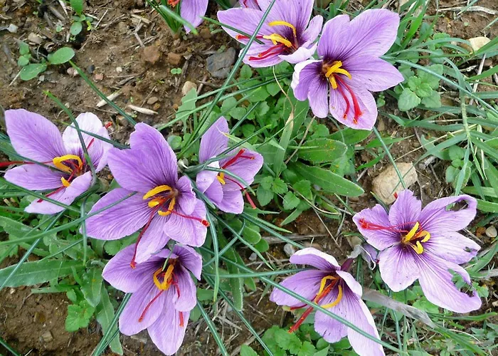 Apartamento Casa Rondini *