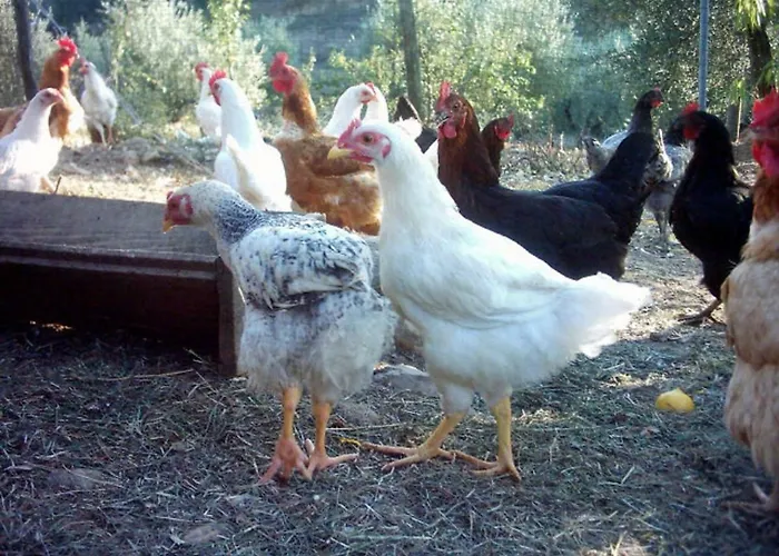 Casa Rondini Apartamento Montegabbione