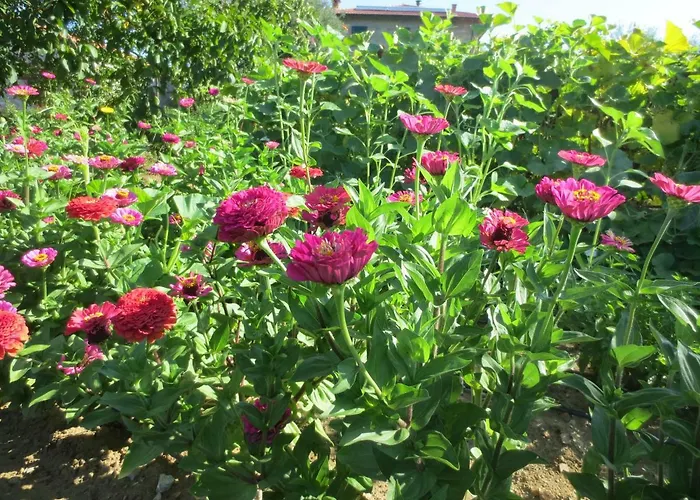 Casa Rondini Montegabbione