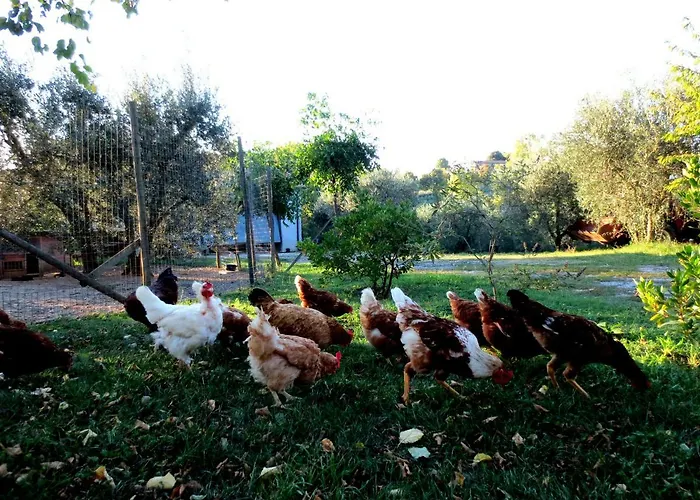 Casa Rondini Apartamento